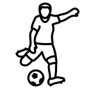 林柳全